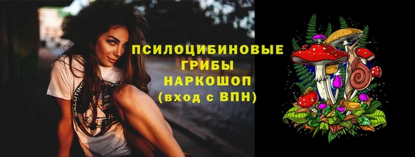 PSILOCYBIN Горнозаводск
