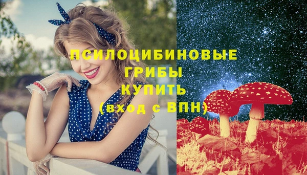 гашик Гусиноозёрск