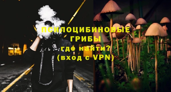 гашик Гусиноозёрск