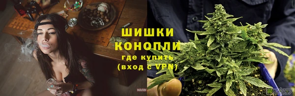 гашик Гусиноозёрск