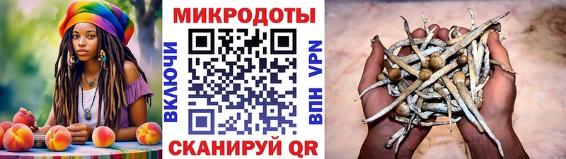 Псилоцибиновые грибы мухоморы  MEGA рабочий сайт  Каргат 